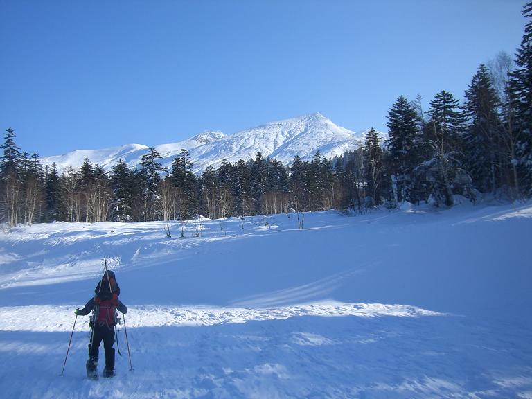 f0128733_338045.jpg
