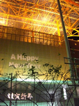 Happy New Year 2008!!_b0071355_17265167.jpg