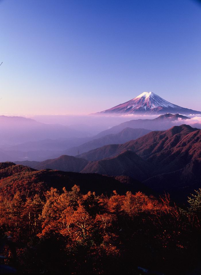 c0119160_20482355.jpg