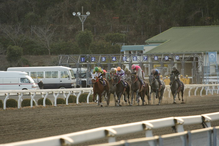 第38回 高知県知事賞 その2_a0077663_7584264.jpg