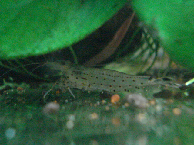 f0156765_18244253.jpg