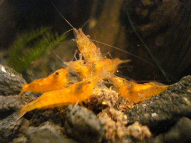 f0156765_1825185.jpg