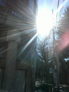 輝く光の先_a0075684_1894469.jpg
