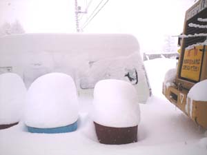 新年あけましておめでとうございます。_e0120896_1222501.jpg