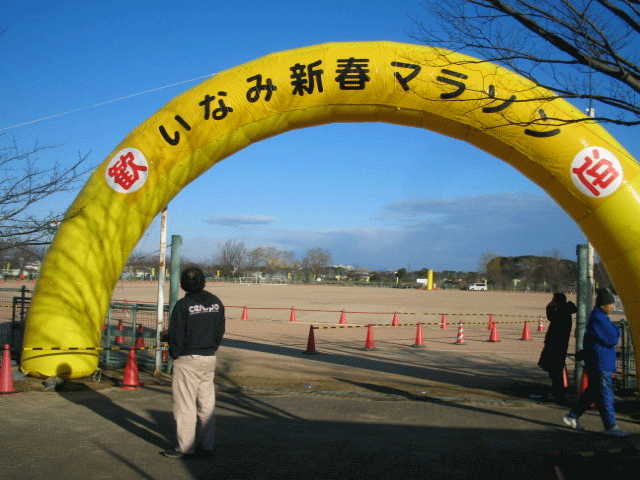 b0108100_15153394.gif