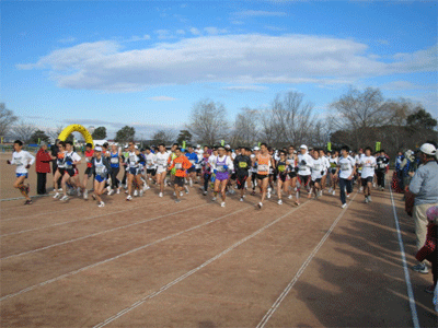 b0108100_16111545.gif