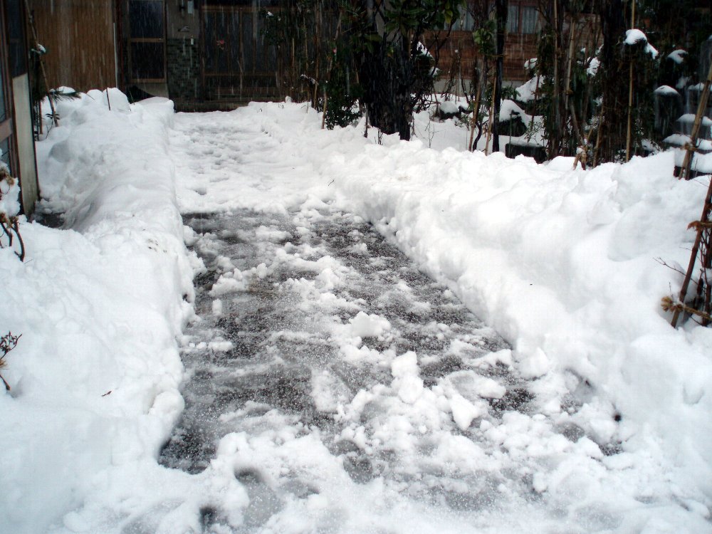 雪が降りました_e0087201_23153140.jpg