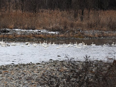 e0103903_1641193.jpg