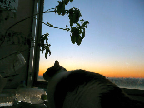 a0024005_1764912.jpg