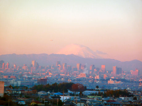 a0024005_179307.jpg