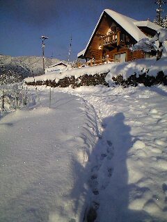 f0135908_837267.jpg