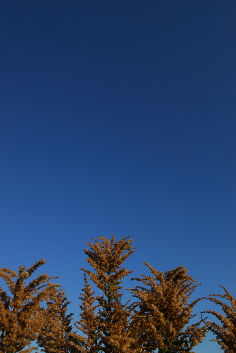有馬温泉革命!_d0047811_21111884.jpg