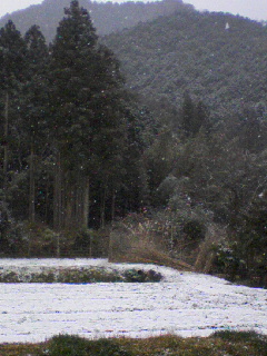 初雪。_e0015915_10393732.jpg