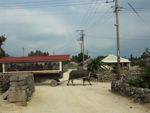 竹富島_a0105819_15201374.jpg