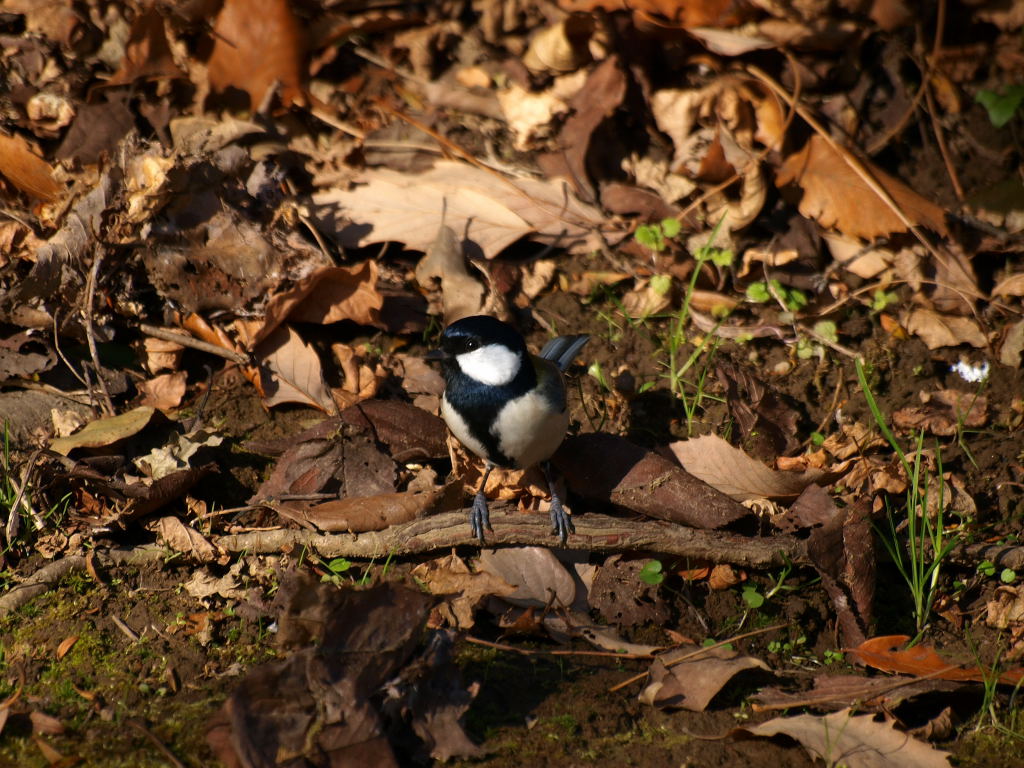 f0032335_14593886.jpg
