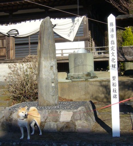 1月2日(水)初詣!_f0060461_15265758.jpg