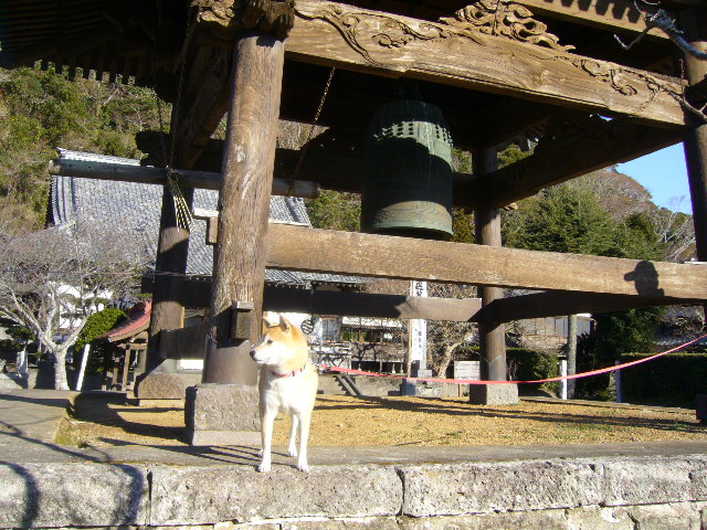 1月2日(水)初詣!_f0060461_16394980.jpg