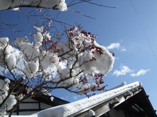 b0117564_2142867.jpg