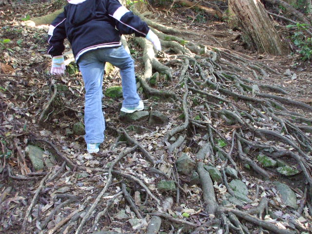 c0138868_8441975.jpg