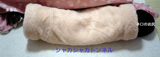a0084070_23164843.jpg