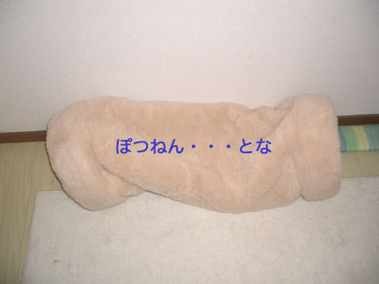 a0084070_2317366.jpg