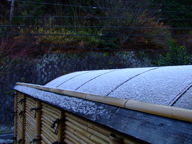f0142070_854370.jpg