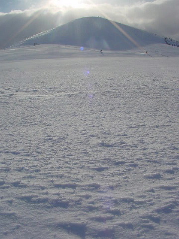 c0104378_21583485.jpg