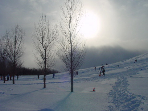 c0104378_2158942.jpg