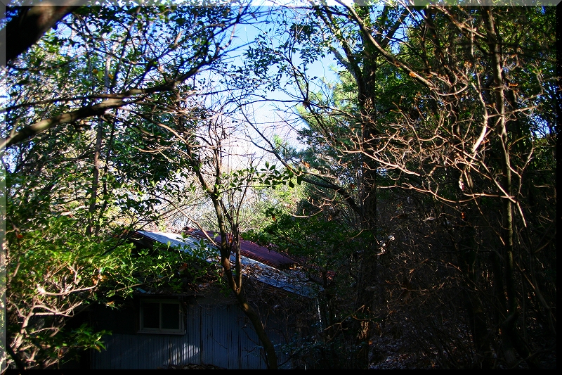 e0024081_14494935.jpg