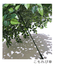 d0134082_2145849.gif