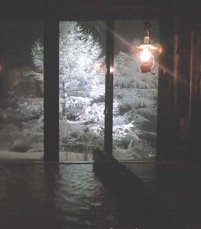 雪景色のすばらしさ_e0120896_645428.jpg