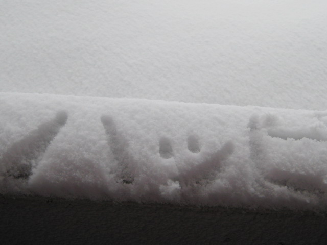 c0123400_16144448.jpg
