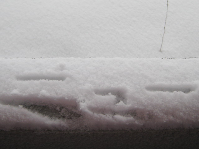 c0123400_16145934.jpg