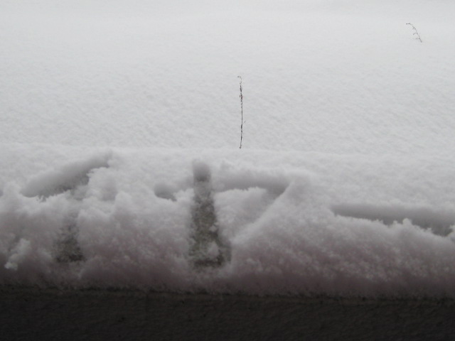 c0123400_16151375.jpg