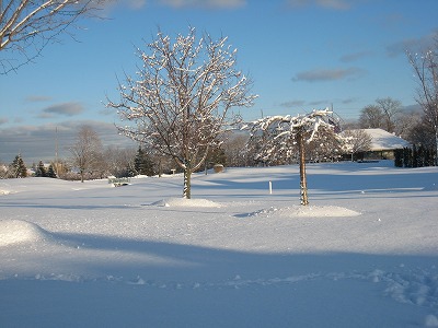 e0109202_1222659.jpg