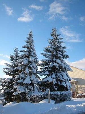 e0109202_1283872.jpg