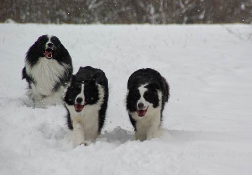 昨日の雪遊び写真_f0102308_12242268.jpg