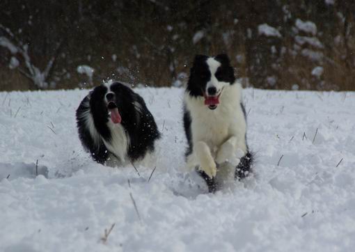 昨日の雪遊び写真_f0102308_12263941.jpg