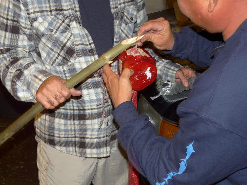 c0127909_1346378.jpg