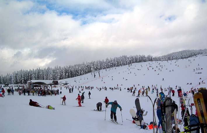 c0078410_0154562.jpg