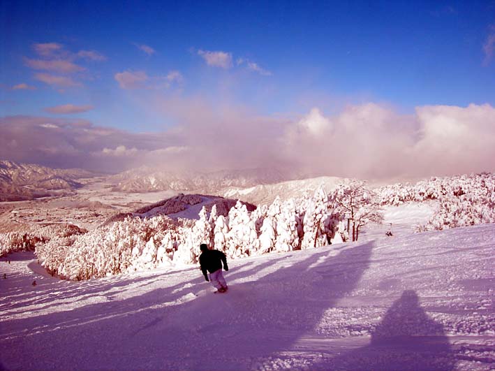 c0078410_094577.jpg