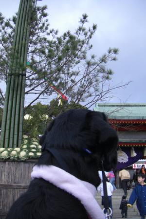 e0059512_8513341.jpg