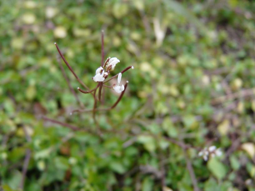 c0086014_21193399.jpg