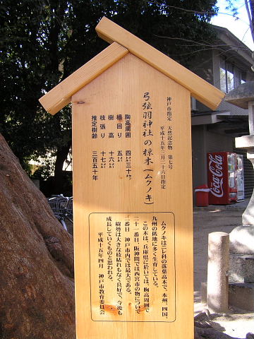 初詣　本住吉神社と弓弦羽神社と市民の森にヤマガラ？_a0037019_10181715.jpg