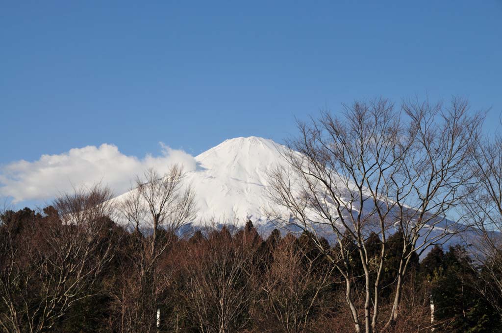 明けましておめでとうございます_c0002621_19383739.jpg