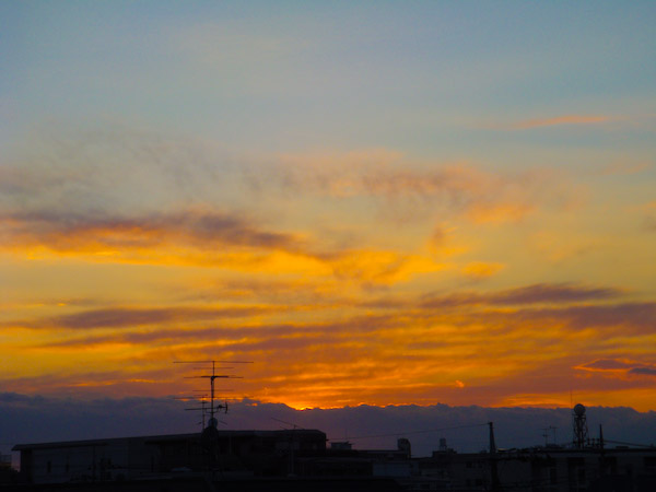 f0077521_1653565.jpg