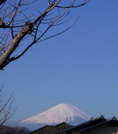 横浜よりの富士山_e0021129_155170.jpg