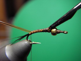 2008年の新作_c0090530_2226024.jpg