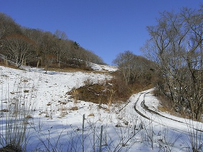 半田山でちょっと物好き大回り。_f0003138_15181165.jpg