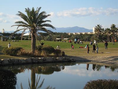 c0156345_331019.jpg